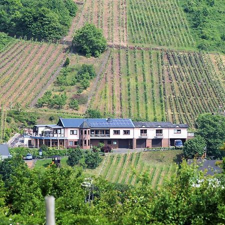 Urlaubsweingut Zecherhof Neef 外观 照片