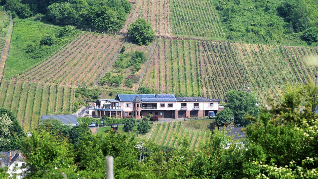 Urlaubsweingut Zecherhof Neef 外观 照片