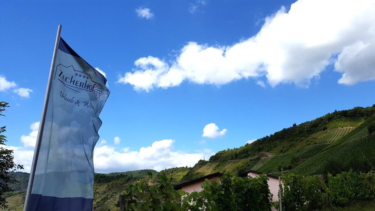Urlaubsweingut Zecherhof Neef 外观 照片
