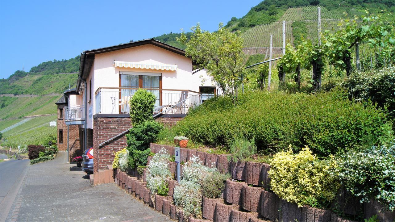 Urlaubsweingut Zecherhof Neef 外观 照片