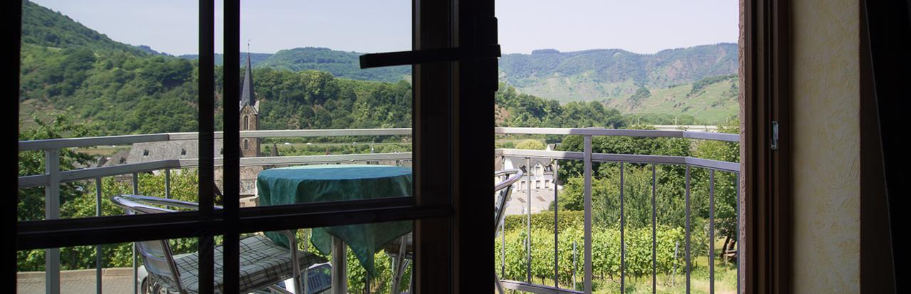 Urlaubsweingut Zecherhof Neef 外观 照片